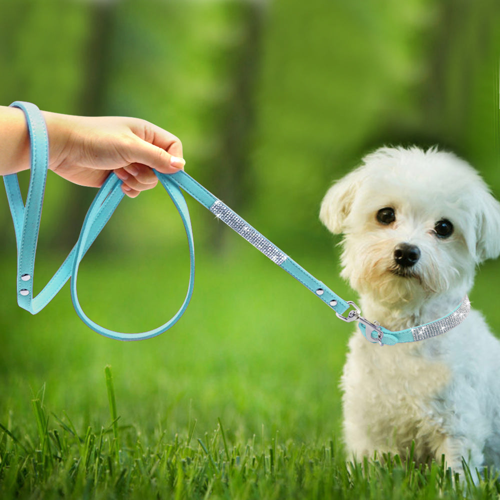 Puppy Collars
