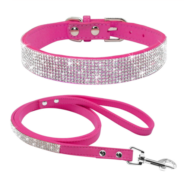 Puppy Collars