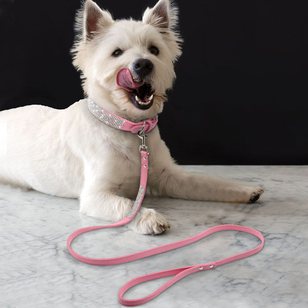 Puppy Collars