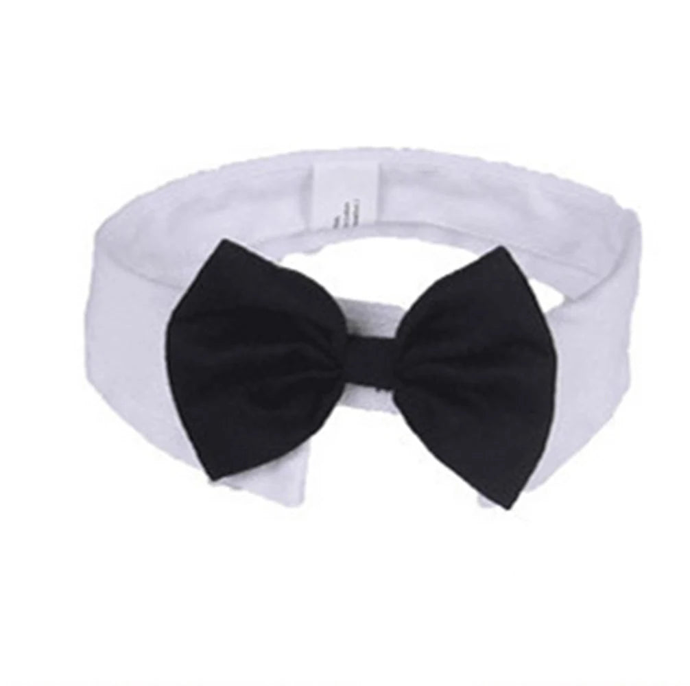 Hot Sale Cute Cotton Adjustable Dog Necktie Dog Cat Grooming Formal TiSPECIFICATIONSBrand Name: NoEnName_NullMaterial: 100% CottonOrigin: Mainland ChinaCN: ShanghaiItem Type: Tie & Bow TieSet Type: noType: DogsMaterial:: CottonColoShopDoggieworksShopDoggieworksHot Sale Cute Cotton Adjustable Dog Necktie Dog Cat Grooming Formal Tie Comfortable Dog Suit Tuxedo Bow Ties Pet Accessories