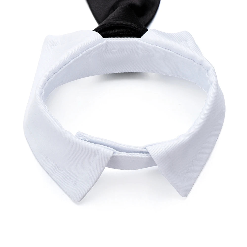 Hot Sale Cute Cotton Adjustable Dog Necktie Dog Cat Grooming Formal TiSPECIFICATIONSBrand Name: NoEnName_NullMaterial: 100% CottonOrigin: Mainland ChinaCN: ShanghaiItem Type: Tie & Bow TieSet Type: noType: DogsMaterial:: CottonColoShopDoggieworksShopDoggieworksHot Sale Cute Cotton Adjustable Dog Necktie Dog Cat Grooming Formal Tie Comfortable Dog Suit Tuxedo Bow Ties Pet Accessories