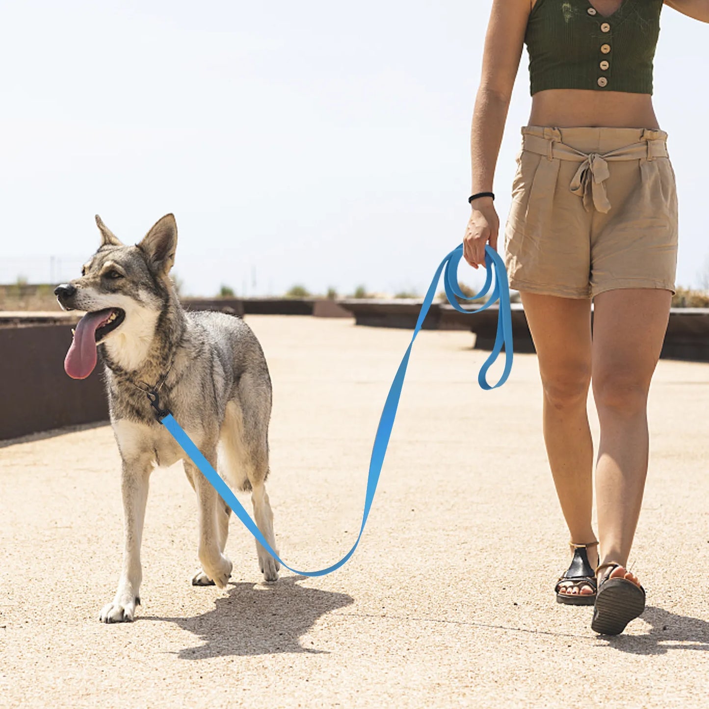 1.5m/3m/5m/10m Strong 2.5cm Width PVC Dog Leash Multicolor Durable Waterproof Dog Training Leash for Dogs