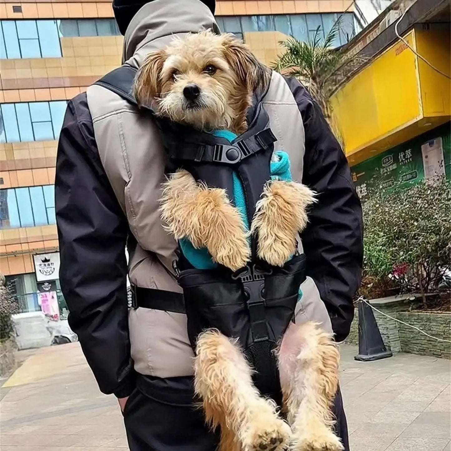 High quality Dog Carrier Backpack Adjustable Pet Carriers Front Facing motorcycle pet backpack Puppy Travel Bag Cycling Pet bag