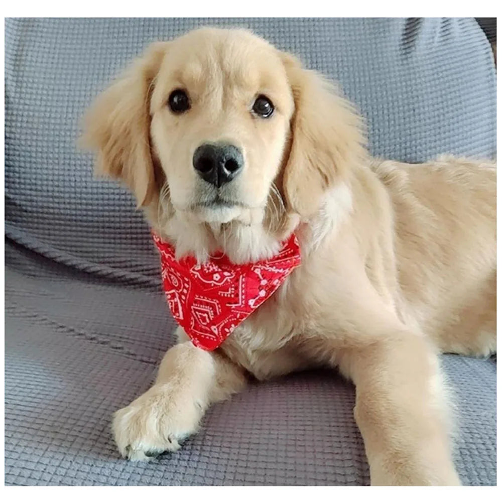 Pet Bandana Collar Scarf for Dogs Puppy & Cat Small Medium Large Dogs SPECIFICATIONSBrand Name: NoEnName_NullType: CollarsCollar Type: Basic Collarsis_customized: YESMaterial: nylonIs Smart Device: noOrigin: Mainland ChinaCN: ZhejiangPShopDoggieworksShopDoggieworksDogs Puppy & Cat Small Medium Large Dogs Adjustable Collars Red Blue Black Pink Stylish Dog Collar