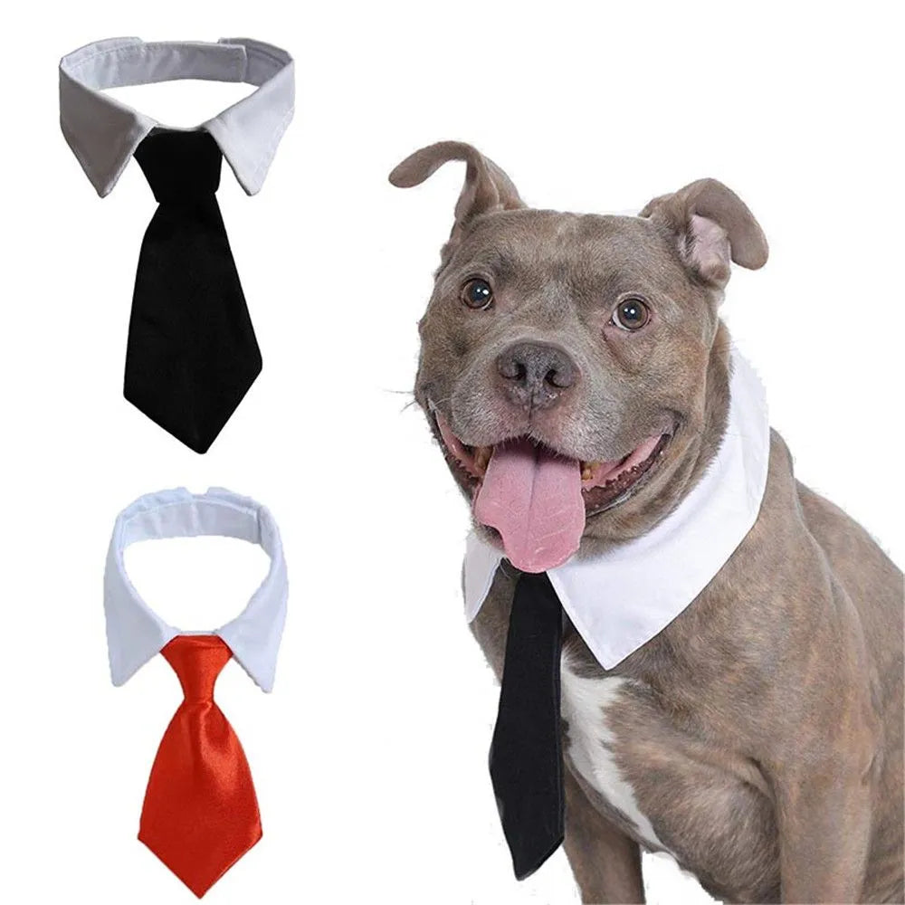 Pet Dog Cat Formal Necktie Tuxedo Bow Tie Black and Red Collar for DogSPECIFICATIONSBrand Name: NoEnName_NullMaterial: 100% CottonOrigin: Mainland ChinaCN: ZhejiangItem Type: Tie & Bow TieSet Type: noType: DogsMaterial: CottonColorShopDoggieworksShopDoggieworksPet Dog Cat Formal Necktie Tuxedo Bow Tie Black