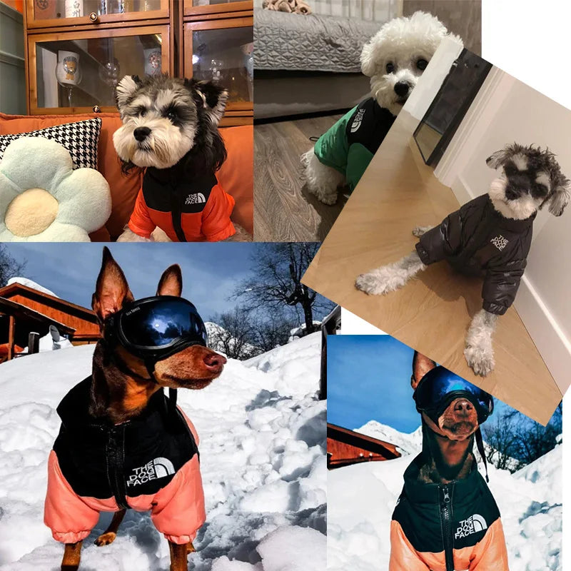 Winter Dog Jacket Pet Clothes Waterproof French Bulldog Yorkshire Chihuahua Small Medium Dogs Coat Warm Puppy Cat Clothing