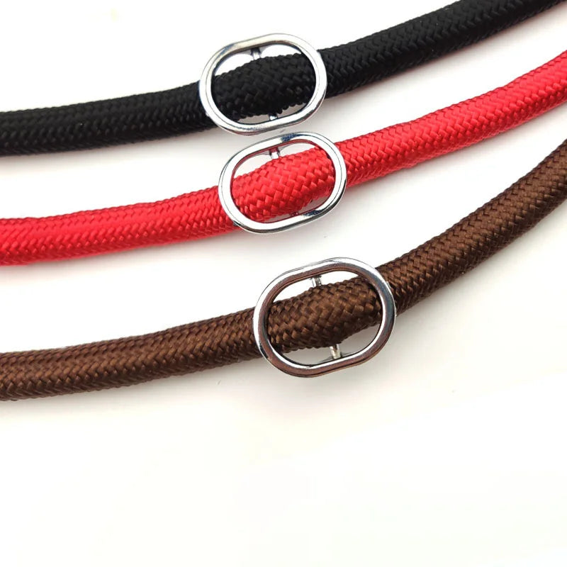 Dog Leash Slip Rope Lead Leash Heavy Duty Braided Rope Adjustable Loop Collar Training Leashes for Small Medium Dogs