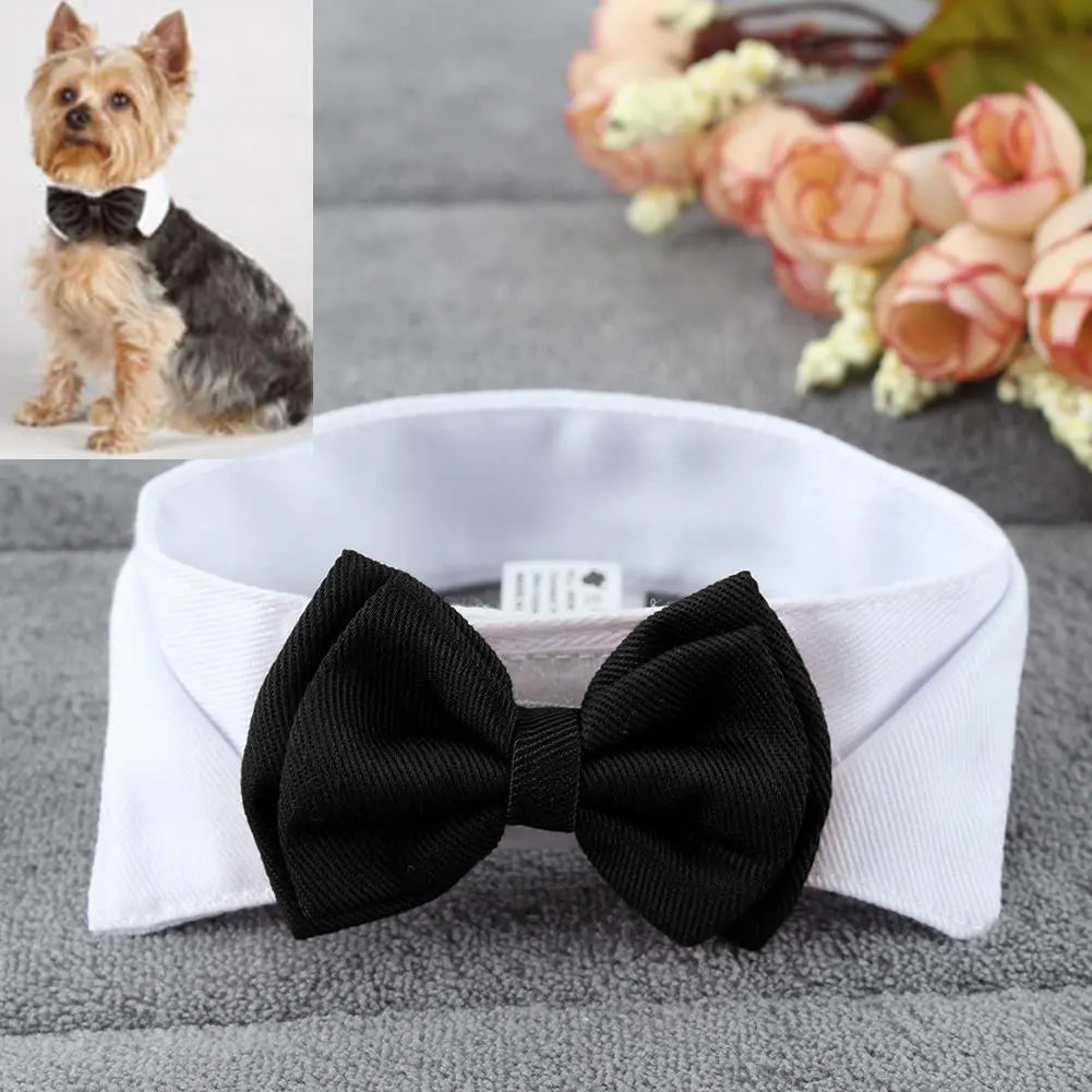 1PC Pets Puppy Dogs Cats Adjustable Bow Tie Collar Necktie Bowknot BowSPECIFICATIONSBrand Name: NoEnName_NullMaterial: PolyesterOrigin: Mainland ChinaCN: HubeiItem Type: Tie & Bow TieSet Type: noType: Dogs
1PC Pets Puppy Dogs Cats ShopDoggieworksShopDoggieworks1PC Pets Puppy Dogs Cats Adjustable Bow Tie Collar Necktie Bowknot Bowtie Holiday Wedding Decoration Grooming Accessories