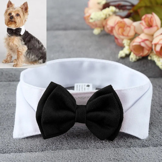 1PC Pets Puppy Dogs Cats Adjustable Bow Tie Collar Necktie Bowknot BowSPECIFICATIONSBrand Name: NoEnName_NullMaterial: PolyesterOrigin: Mainland ChinaCN: HubeiItem Type: Tie & Bow TieSet Type: noType: Dogs
1PC Pets Puppy Dogs Cats ShopDoggieworksShopDoggieworks1PC Pets Puppy Dogs Cats Adjustable Bow Tie Collar Necktie Bowknot Bowtie Holiday Wedding Decoration Grooming Accessories