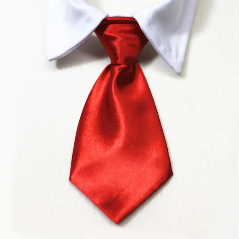 Pet Formal Necktie Pet Tie Dog Cat Fake Collar Tuxedo Bow Tie Cute AdjSPECIFICATIONSBrand Name: NoEnName_NullMaterial: ClothOrigin: Mainland ChinaCN: AnhuiItem Type: Tie & Bow TieSet Type: noType: Dogstype 1: dog tietype 2: dog tuxShopDoggieworksShopDoggieworksPet Formal Necktie Pet Tie Dog Cat Fake Collar Tuxedo Bow Tie Cute Adjustable Solid Corbata Perro