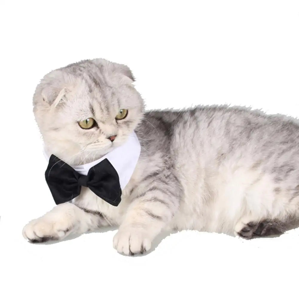 1PC Pet Puppy Dogs Adjustable Bow Tie Collar Necktie Bowknot Bowtie HoSPECIFICATIONSMaterial: nylonOrigin: Mainland ChinaCN: GuangdongItem Type: Tie & Bow TieType: DogsChoice: yes
Features:
1.Adjustable neck girth, suitable for boShopDoggieworksShopDoggieworks1PC Pet Puppy Dogs Adjustable Bow Tie Collar Necktie Bowknot Bowtie Holiday Wedding Decoration Accessories