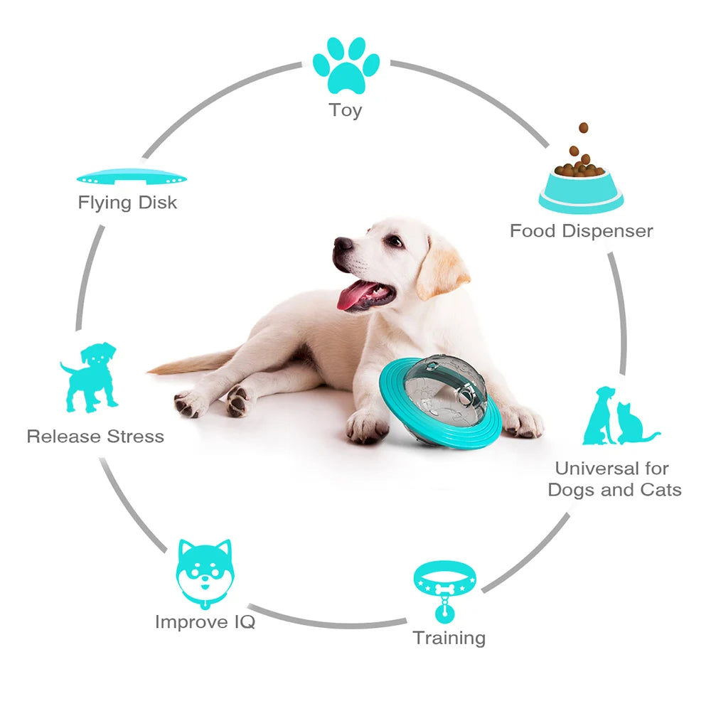 Dog Interactive Food Leaking Dispensing Treat Ball For Small Large DogSPECIFICATIONSBrand Name: HolapetOrigin: Mainland ChinaToys Type: Interactive ToysIs Smart Device: noMaterial: PlasticType: DogsSet Type: noChoice: yes
Dog InteraShopDoggieworksShopDoggieworksSmall Large Dogs Improve IQ Training Toy Puppy Slow Feed Dachshund Toy