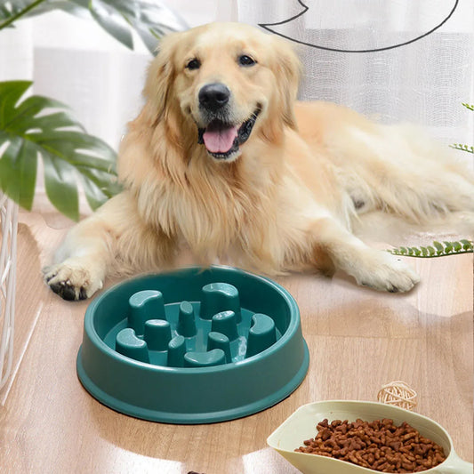 Pet Dog Slow Feeder Bowl Puppy Non Slip Puzzle Bowl Anti-Gulping Pet SSPECIFICATIONSBrand Name: NoEnName_NullItem Type: BowlsOrigin: Mainland ChinaType: DogsMaterial: PlasticApplicable Dog Breed: Small Dog
ShopDoggieworksShopDoggieworksPet Dog Slow Feeder Bowl Puppy