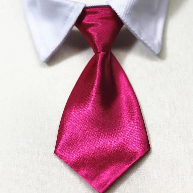 Pet Formal Necktie Pet Tie Dog Cat Fake Collar Tuxedo Bow Tie Cute AdjSPECIFICATIONSBrand Name: NoEnName_NullMaterial: ClothOrigin: Mainland ChinaCN: AnhuiItem Type: Tie & Bow TieSet Type: noType: Dogstype 1: dog tietype 2: dog tuxShopDoggieworksShopDoggieworksPet Formal Necktie Pet Tie Dog Cat Fake Collar Tuxedo Bow Tie Cute Adjustable Solid Corbata Perro