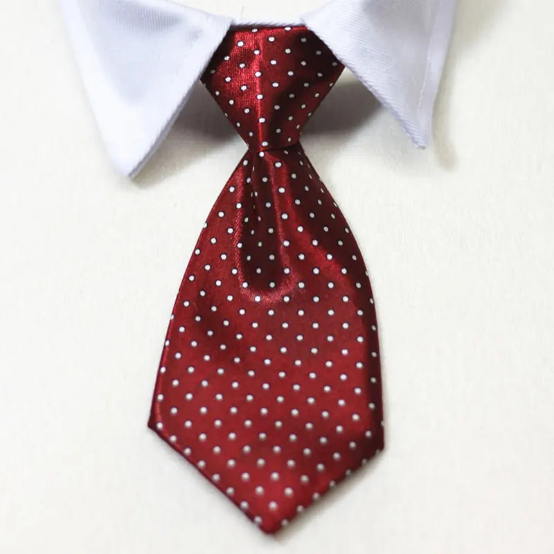 Pet Formal Necktie Pet Tie Dog Cat Fake Collar Tuxedo Bow Tie Cute AdjSPECIFICATIONSBrand Name: NoEnName_NullMaterial: ClothOrigin: Mainland ChinaCN: AnhuiItem Type: Tie & Bow TieSet Type: noType: Dogstype 1: dog tietype 2: dog tuxShopDoggieworksShopDoggieworksPet Formal Necktie Pet Tie Dog Cat Fake Collar Tuxedo Bow Tie Cute Adjustable Solid Corbata Perro