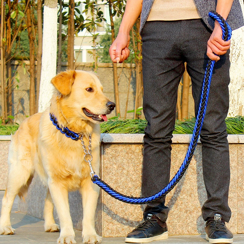 Big Dog Stereotyped Rope P Chain Suit Automatic Retractable Collar Medium Large Dog Golden Retriever Dog Walking Chain Traction Belt Explosion-Proof