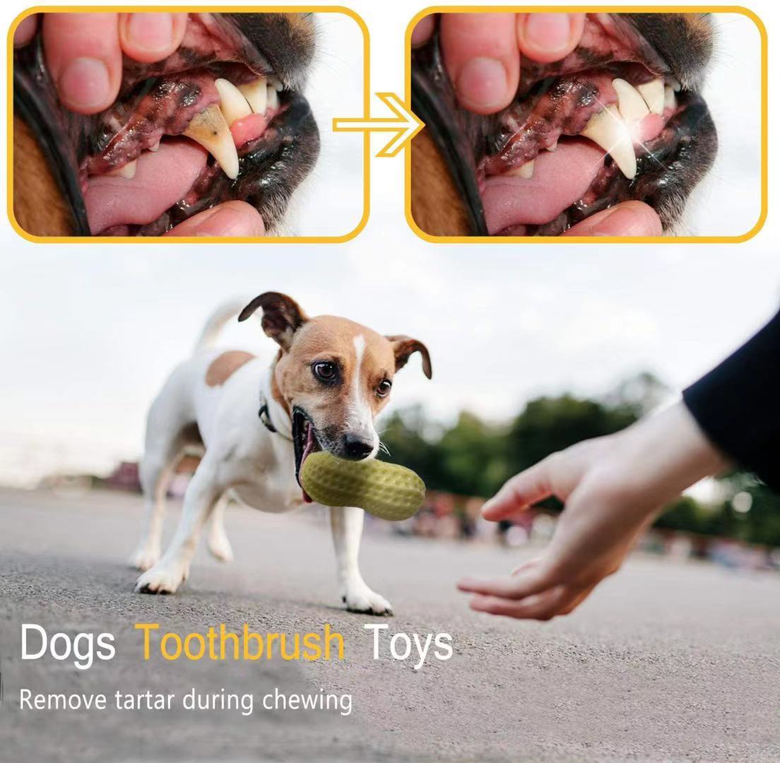 Dog Peanut Butter Toy | Peanut Butter Flavored Dog ToysDog Peanut Butter Toy | Dog Chew Toy
Calling all peanut butter lovers! Our Dog Peanut Butter Toy allergen-free peanut butter flavor throughout to keeps dogs entertaiDog ToysShopDoggieworksShopDoggieworksPeanut Butter Flavored Dog Toys