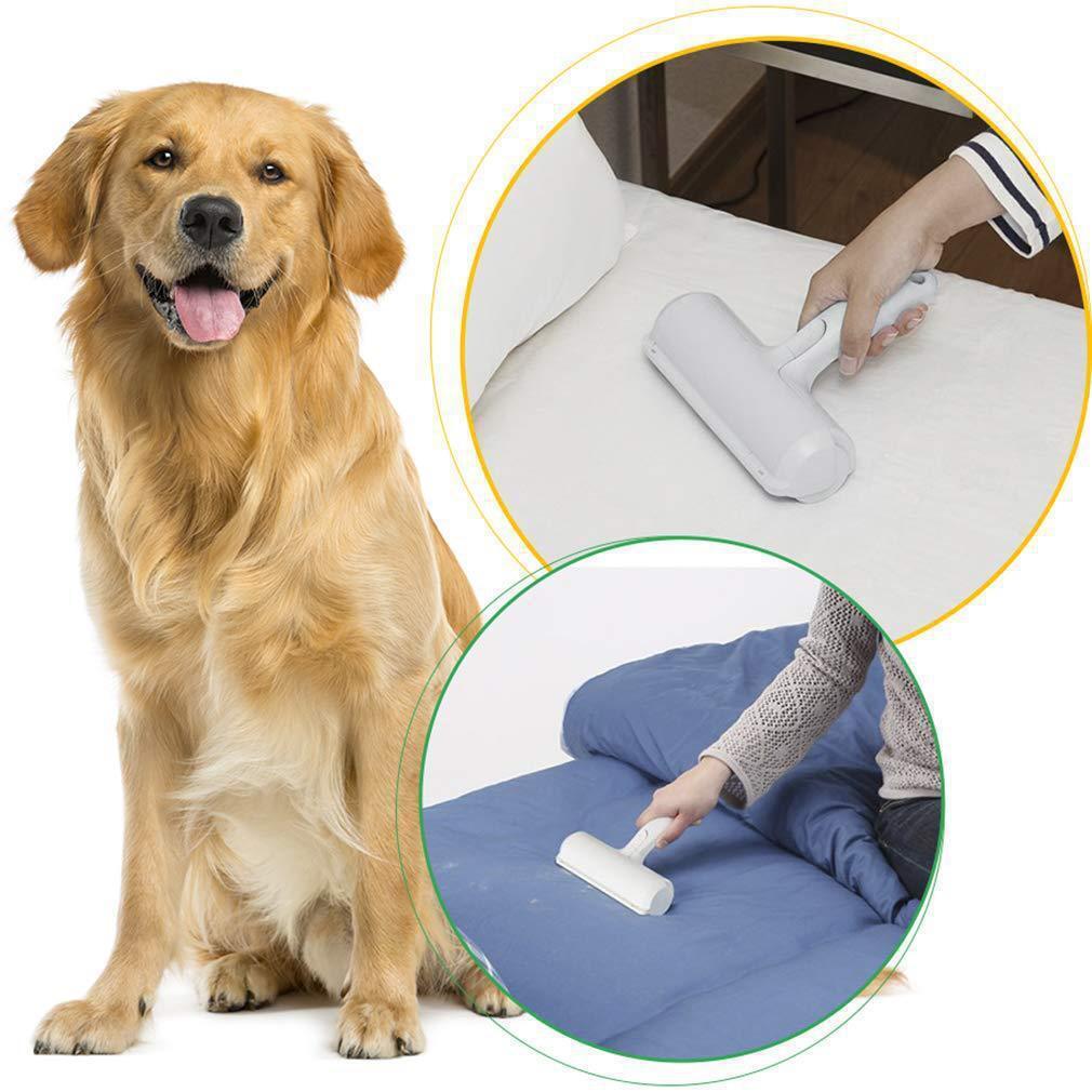 Pet Hair Remover For A Fur-Free HomePet Hair Remover - Reusable Cat and Dog Hair Remover for Furniture For Sale
As most pet owners know (unless you’re the owner of one of these breeds that don’t shed) pet hair removerShopDoggieworksShopDoggieworksPet Hair Remover