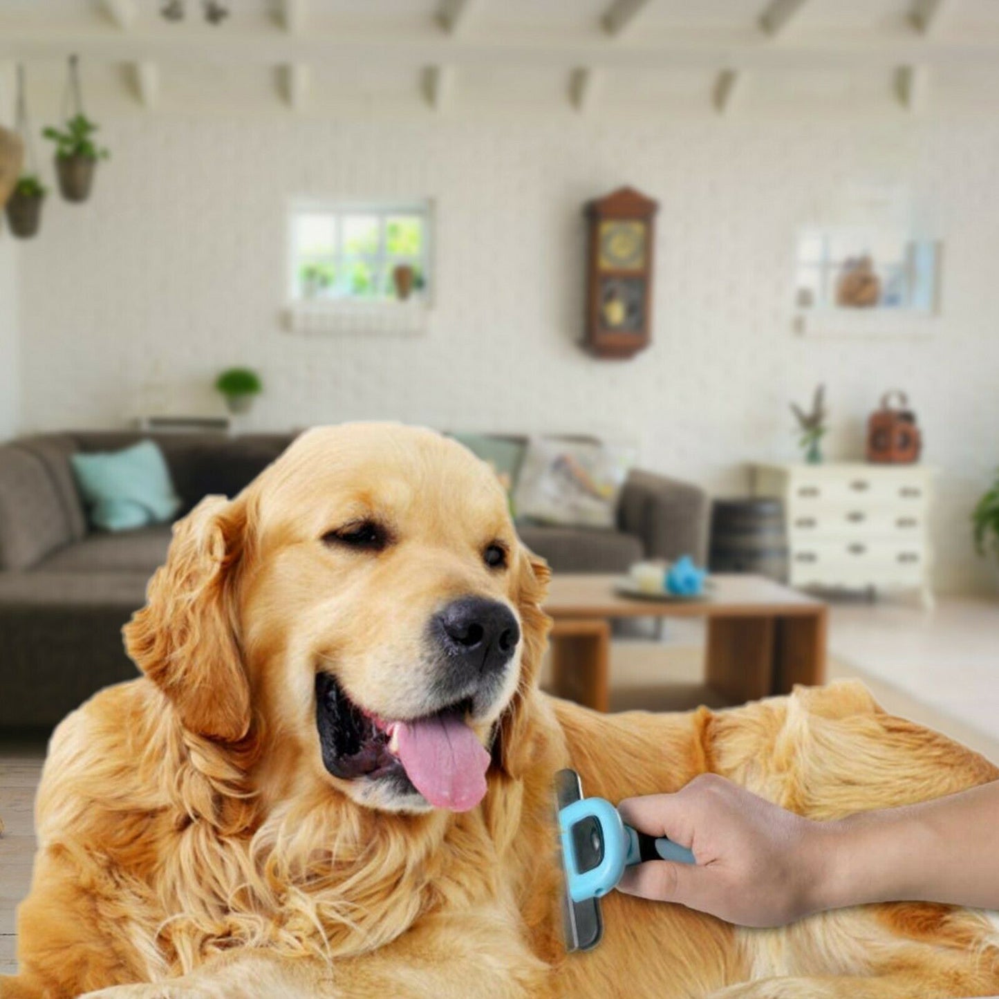 Furminator Dupe For DogsFurminator Pet Grooming Tools and Supplies
Take your grooming routine into your own hands by implementing the Furminator Ultimate Hair Reduction System, Brush, deShdeShedding ToolShopDoggieworksShopDoggieworksFurminator Dupe