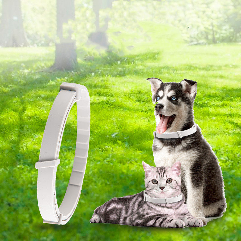 Seresto Flea Collar For Dogs | Flea and Tick Collar for Cats and DogsSeresto Flea Collar for Dogs, over 18 lbs
Kills and repels fleas and ticks for 8 continuous months in one easy-to-use, non-greasy, odorless collar. Quickly kills fPet Anti-mosquito CollarShopDoggieworksShopDoggieworksSeresto Flea Collar