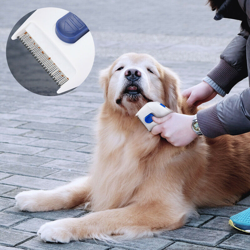 Pet Electric Flea CombBest Electronic Flea Combs For Cats and Dogs
Electronic flea combs for Dogs are innovative devices that help remove fleas from our beloved cats that produce a harmleelectric flea combShopDoggieworksShopDoggieworksPet Electric Flea Comb