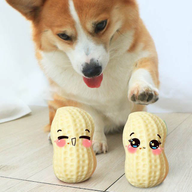 Dog Peanut Butter Toy | Peanut Butter Flavored Dog ToysDog Peanut Butter Toy | Dog Chew Toy
Calling all peanut butter lovers! Our Dog Peanut Butter Toy allergen-free peanut butter flavor throughout to keeps dogs entertaiDog ToysShopDoggieworksShopDoggieworksPeanut Butter Flavored Dog Toys