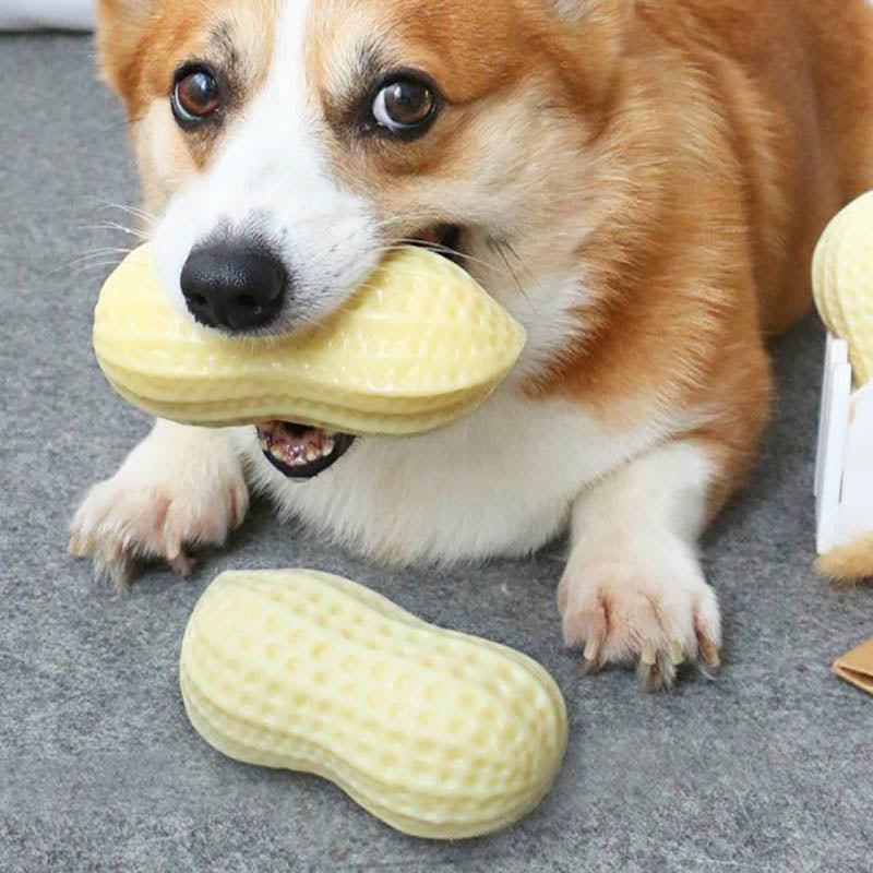 Dog Peanut Butter Toy | Peanut Butter Flavored Dog ToysDog Peanut Butter Toy | Dog Chew Toy
Calling all peanut butter lovers! Our Dog Peanut Butter Toy allergen-free peanut butter flavor throughout to keeps dogs entertaiDog ToysShopDoggieworksShopDoggieworksPeanut Butter Flavored Dog Toys