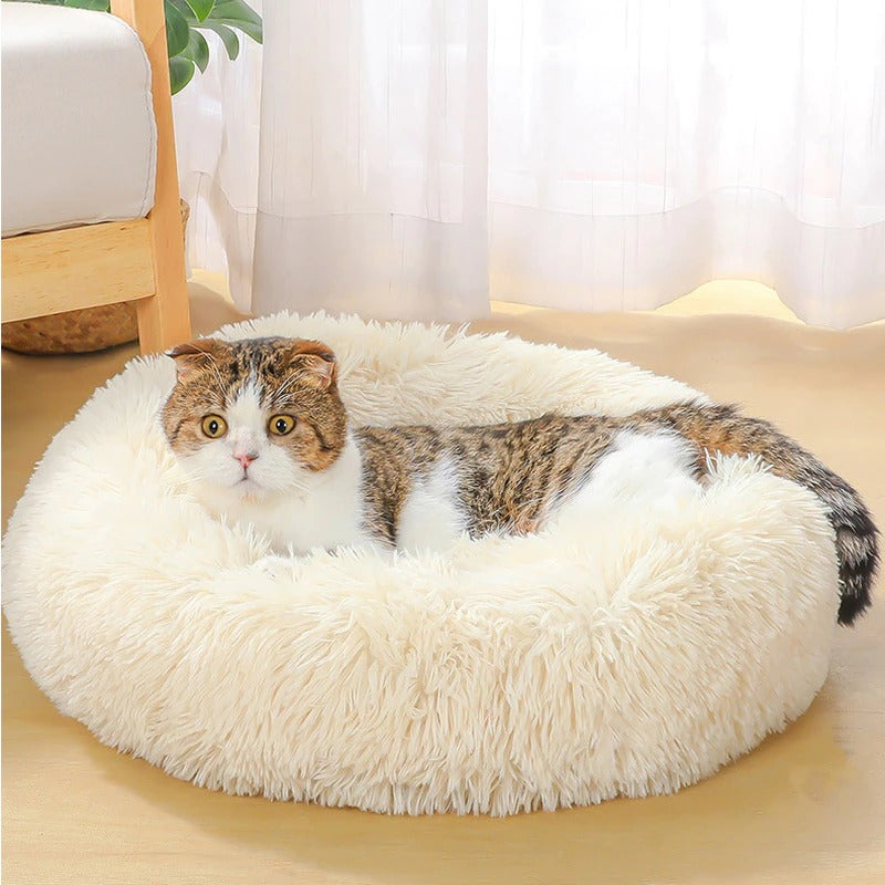 Luxury Machine Washable Dog Beds
Machine Washable Dog Beds For Sale
The Machine Washable Dog Beds with Slip-Resistant Bottom is perfect for keeping your furry friend comfortable while also protectiRound Dog BedShopDoggieworksShopDoggieworksLuxury Machine Washable Dog Beds