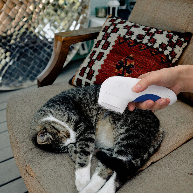 Pet Electric Flea CombBest Electronic Flea Combs For Cats and Dogs
Electronic flea combs for Dogs are innovative devices that help remove fleas from our beloved cats that produce a harmleelectric flea combShopDoggieworksShopDoggieworksPet Electric Flea Comb