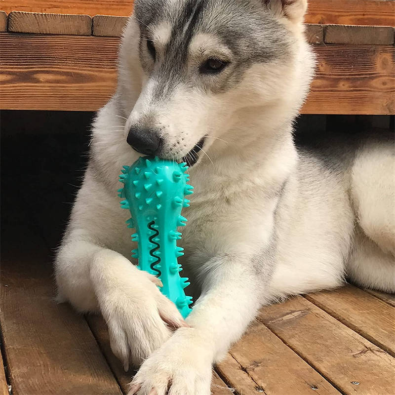 Chew Toys for Aggressive Chewers | Teething & Soothing Flexible Toy
Indestructible Dog Toys For Aggressive Chewers
Chewers of all sizes enjoy a toy that won't give out after a vigorous tugging session but is still soft for snuggliChew ToysShopDoggieworksShopDoggieworksTeething & Soothing Flexible Toy