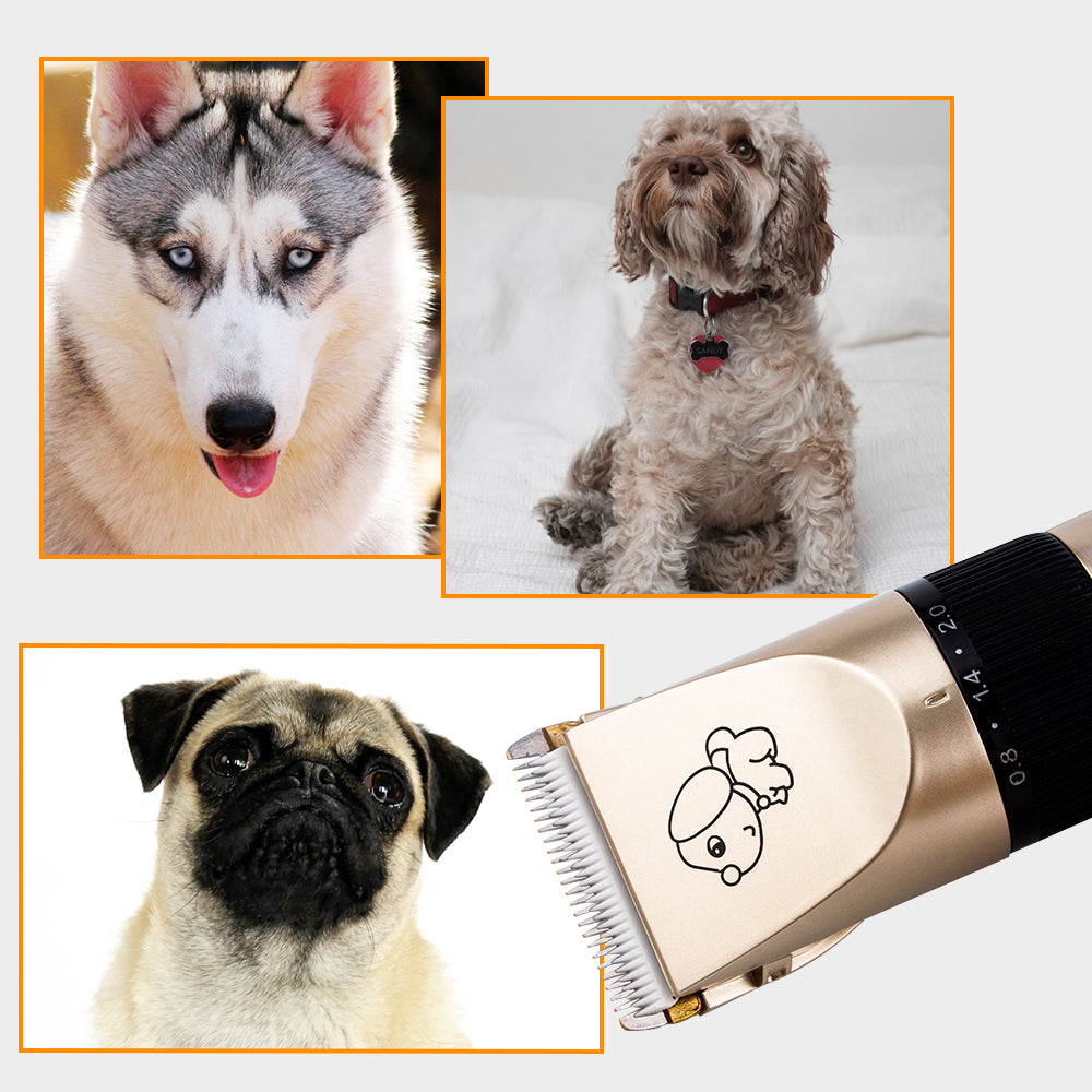 Dog Hair Clippers | Dog Hair Grooming ClippersBest Dog Hair Clippers & Blades For Sale!
Details About Dog Hair Grooming Clippers
Grooming is not just about keeping up appearances. Good dog grooming can meanDog Hair TrimmerShopDoggieworksShopDoggieworksDog Hair Grooming Clippers