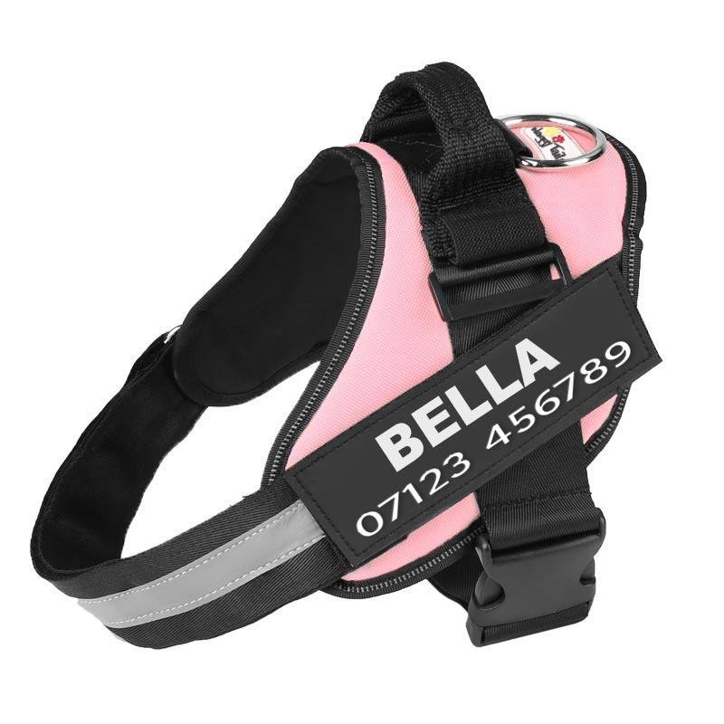 Personalized No Pull Dog Harness