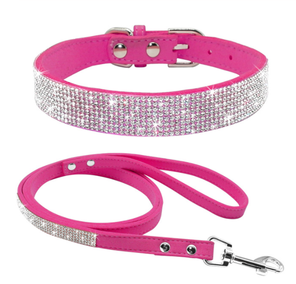 Puppy Collars 