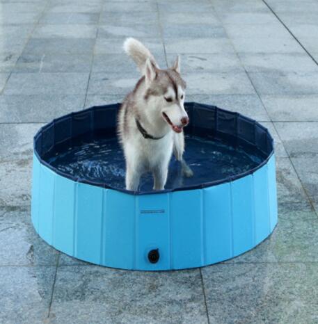 Foldable Dog Pool