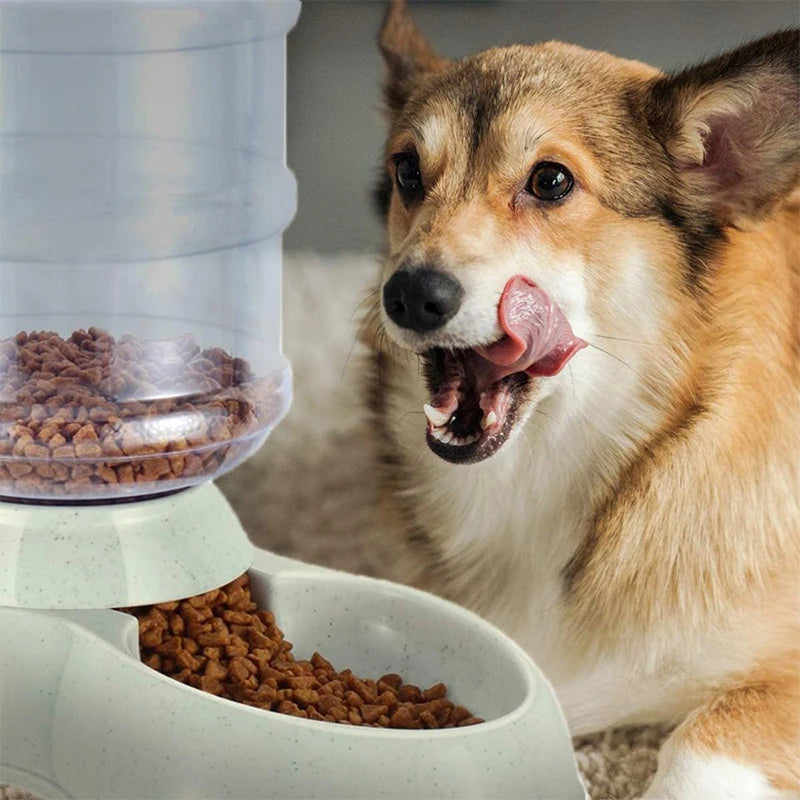 Automatic Dog Feeder Waterer High Capacity Pet Food Bowl Gravity Water Dispenser Pet Bowl for Dogs Cats 3.8 L Dog Accessories