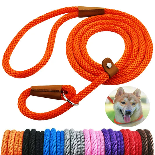 P Chain Durable Nylon Slip Rope Dog Leash Collar 2 In 1 Adjustable Loop Collar Comfortable Meidum Large Pet Harness Leash