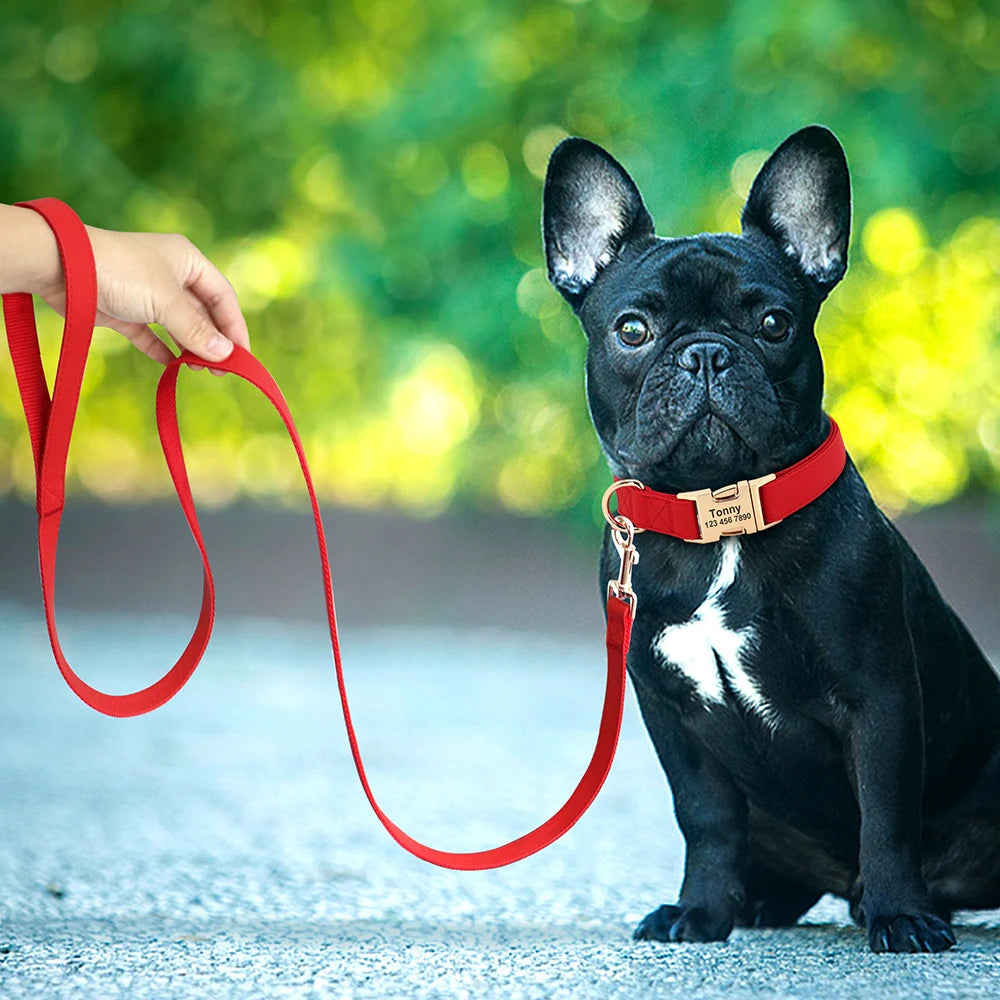 Personalized Dog Collar PU Leather Pet Collars and Leash Set Chihuahua Necklace Customized ID Name For Small Medium Large Dogs