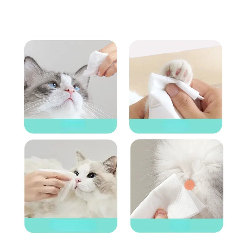 Pet Wipes 80 Pcs/bag Dog Clean Eyes Body Tissue Cat Disposable Deodorant Wipes Puppy Kitten RO Water Health Cleaner Pet Supplies