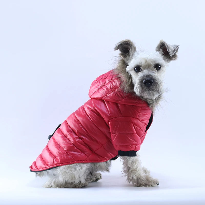 Soft Furry Hoodie Warm Cotton Dog Clothes For Small Dogs Windproof Pet Jacket Puppy Coat Winter Clothing For Yorkies Chihuahua