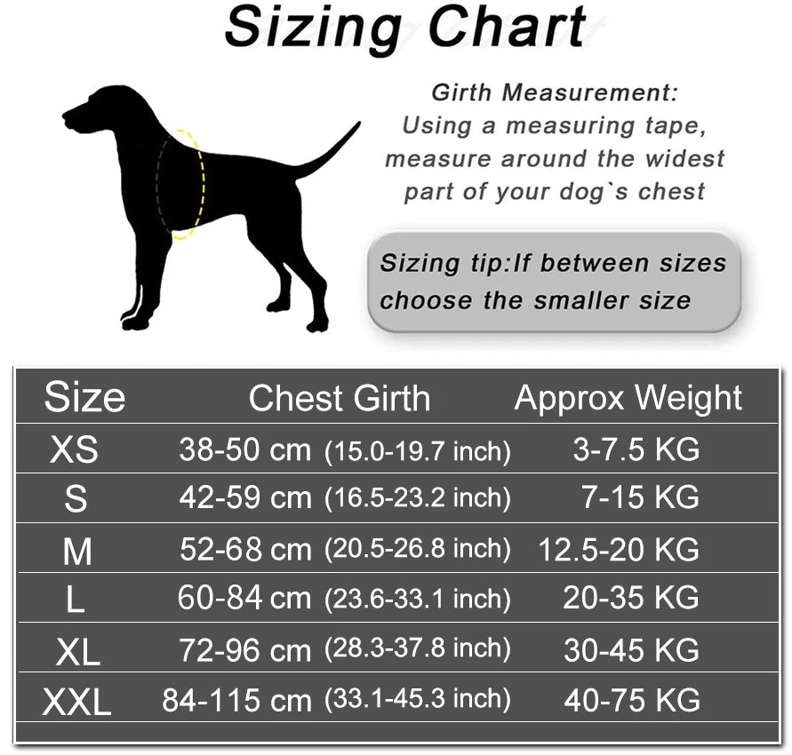 Personalized Dog Harness Reflective Adjustable Dog Harness Vest For small large Dog With Customized Patch Dogs Training Supplies