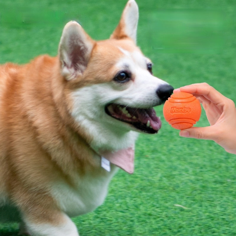 Dog Ball Indestructible Chew Bouncy Rubber Ball Toys Pet Dog Toy Ball SPECIFICATIONSUse for 3: Large DogUse for 2: PuppyUse for 1: Large Medium Small DogType: DogsToys Type: BallsSupport 3: dropshippingSupport 2: wholesaleSupport 1: Fr0ShopDoggieworksShopDoggieworksDog Ball Indestructible Chew Bouncy Rubber Ball Toys Pet Dog Toy Ball