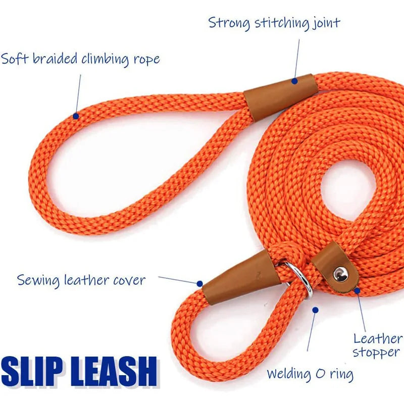 P Chain Durable Nylon Slip Rope Dog Leash Collar 2 In 1 Adjustable Loop Collar Comfortable Meidum Large Pet Harness Leash