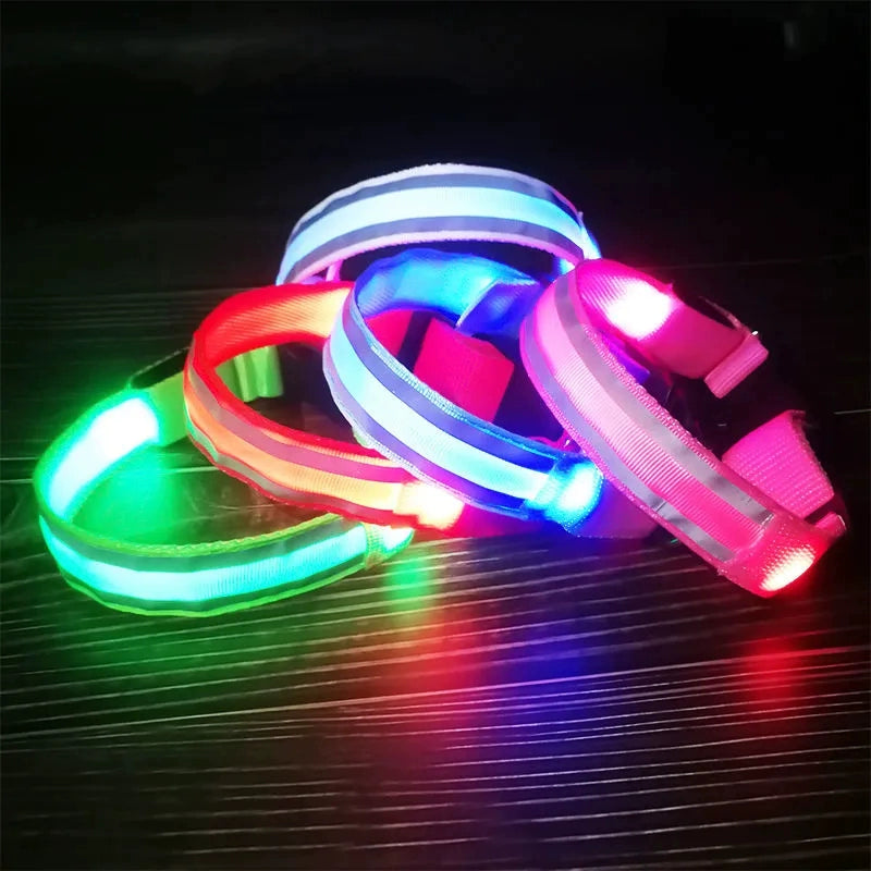 Dog Luminous Collar Dog Luminous Dog Collar Collar Pet Night Light Fluorescent Dog Reflective for Walking Dog at Night