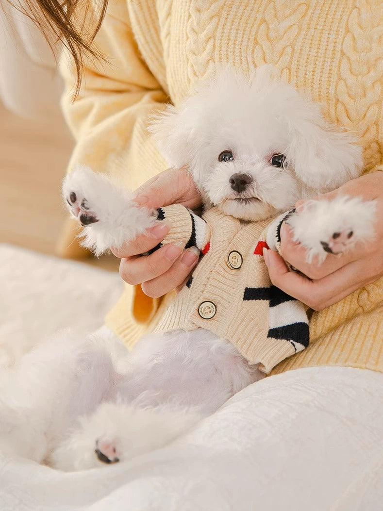 Striped Knitted Puppy Clothes Spring and Autumn Clothing Bichon Teddy Schnauzer Cat Small Size Dogs Pet Autumn and Winter Sweater