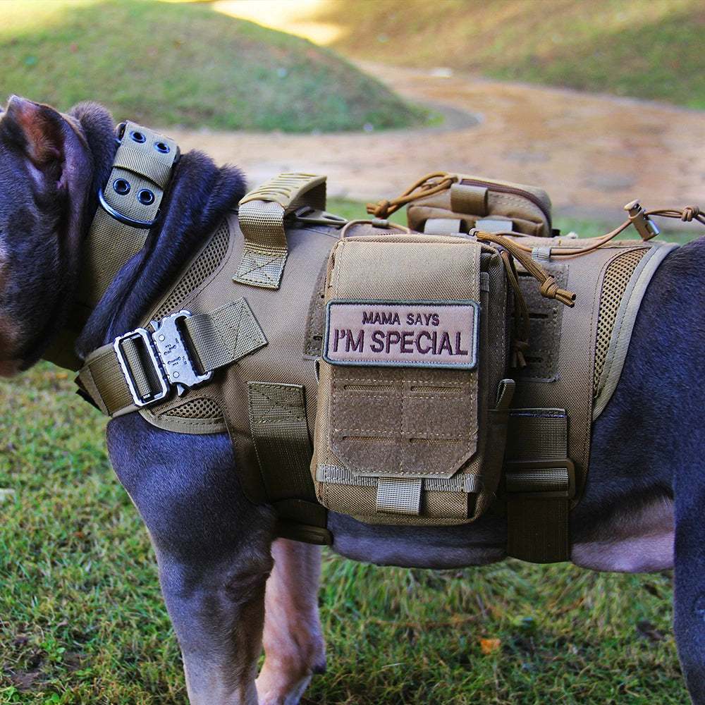 1000D Laser Molle Outdoor Tactics Dog Vest Cobra Buckle Quick Take off Dog Clothes Pet Dog Self-Carrying Clothes