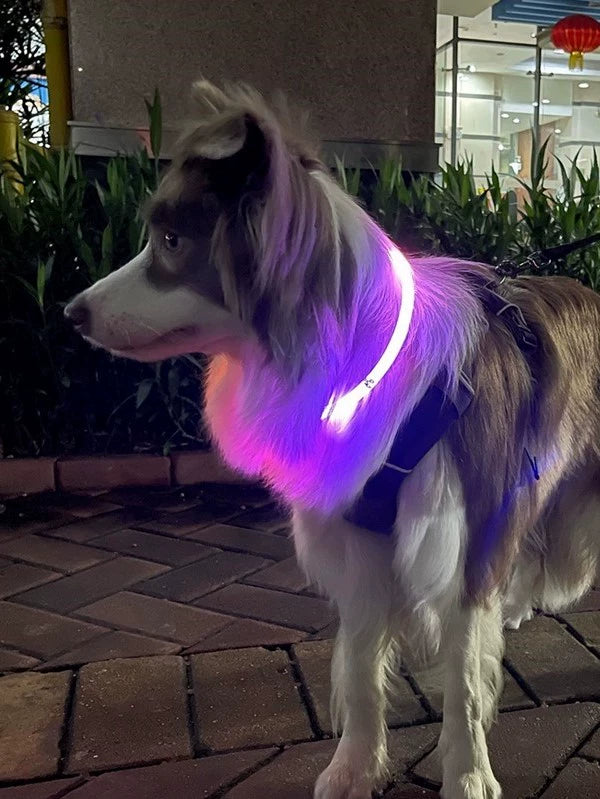 Laroo Leno Luminous Collar Dog Pet Night Walking Dog Fantstic Anti-Lost Product Charging Aurora Puppy Cat