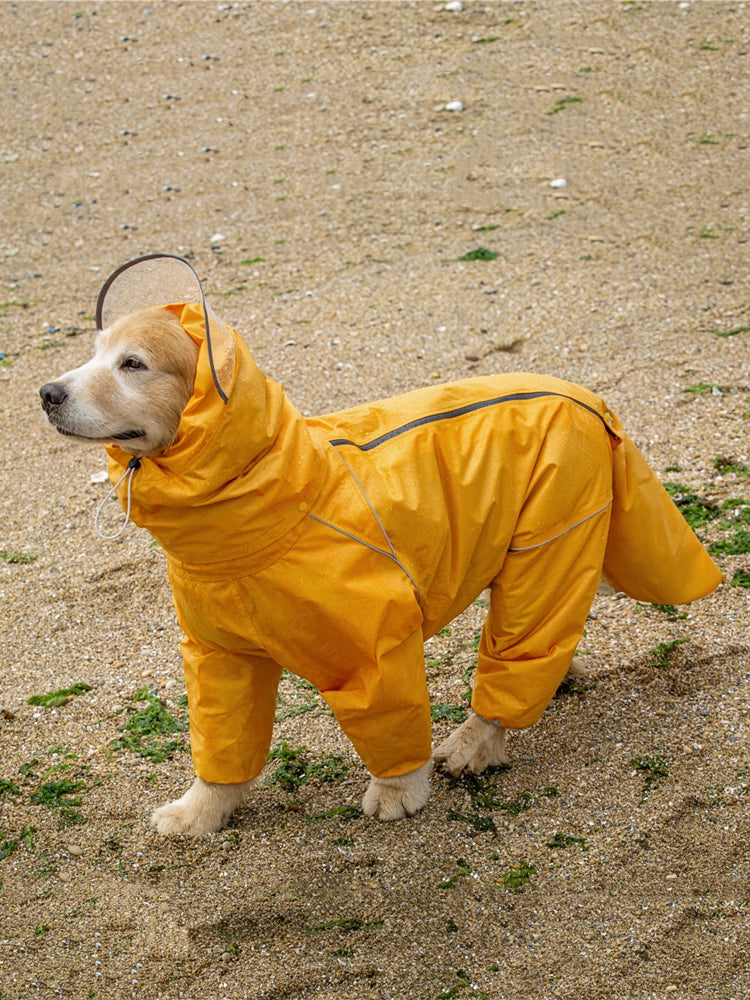 Pet Dog Big Dog Medium Large Dog Golden Retriever Samoyed Alaska All-Inclusive Raincoat Hooded Tail Rain Gear