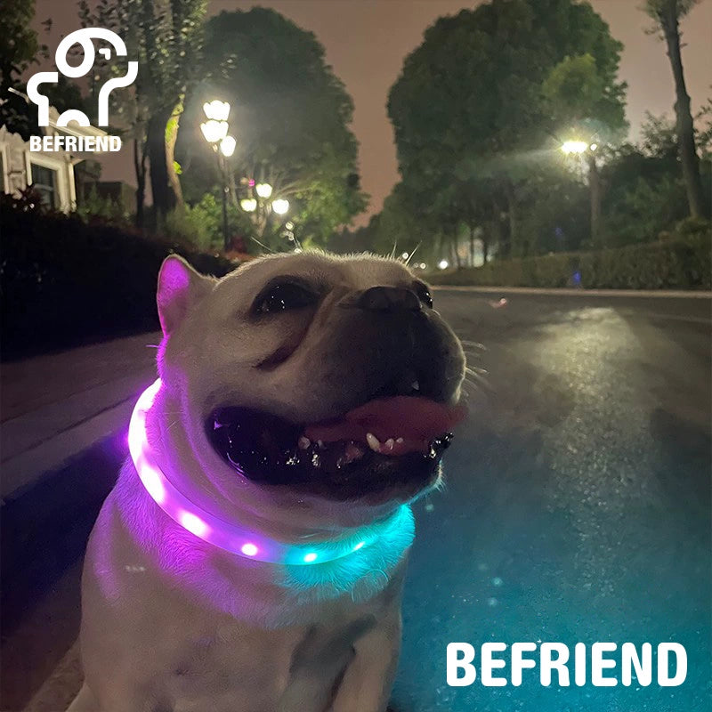 Dog Luminous Collar USB Charging Flash Collar Pet Luminous Anti-Lost Collar Teddy Night Dog Walking Light