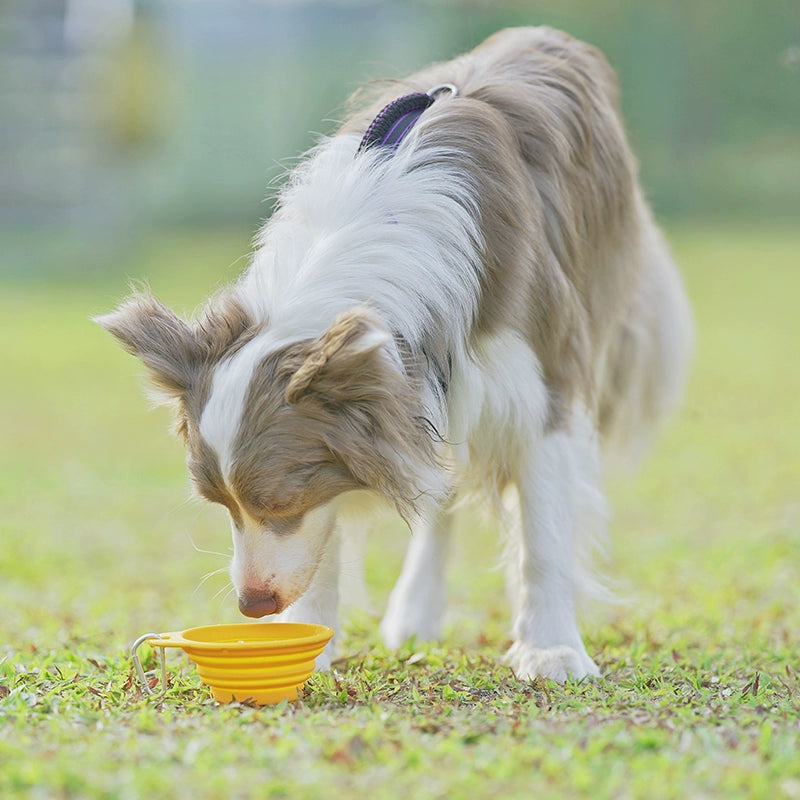 Pet Dog Silicone Foldable Bowl Outing Drinking Bowl Portable Dog Bowl Outdoor Drinking Water Travel Supplies Dog Food Bowl