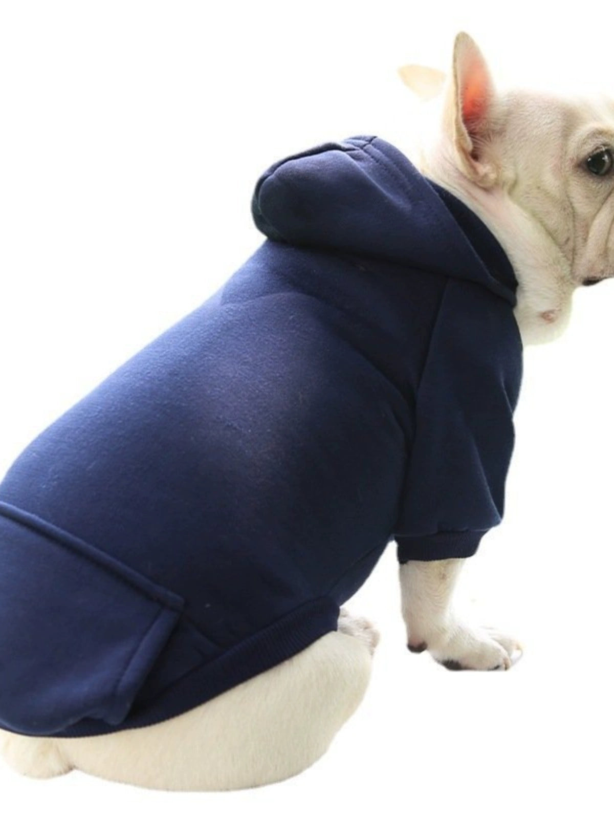 Autumn Winter Sweater Denim Pocket Two-Legged Clothes Sports Style Pet Clothes Dog Cat Clothes Pet Supplies